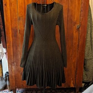 Express sweater dress